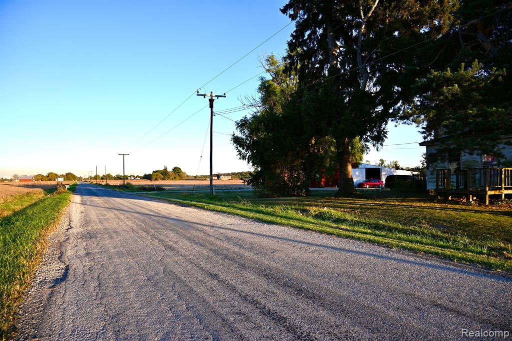 12101 TODD Road, Ida, MI 48140 — Photo 4