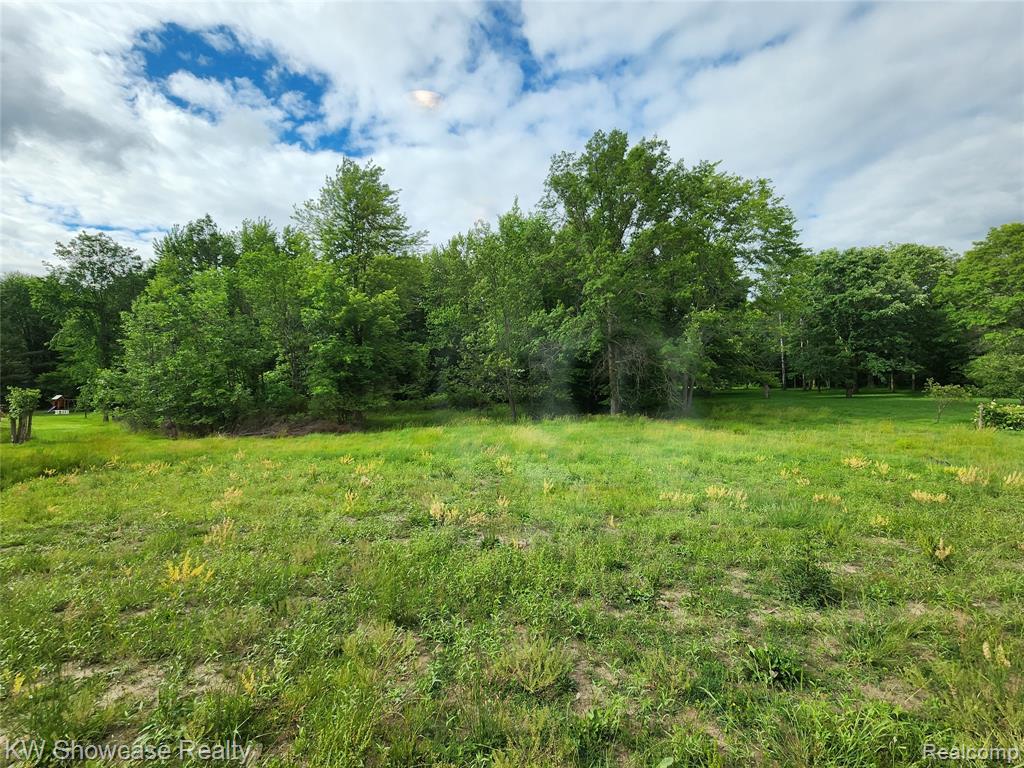 7240 PUTTYGUT Road, China, MI — Photo 35