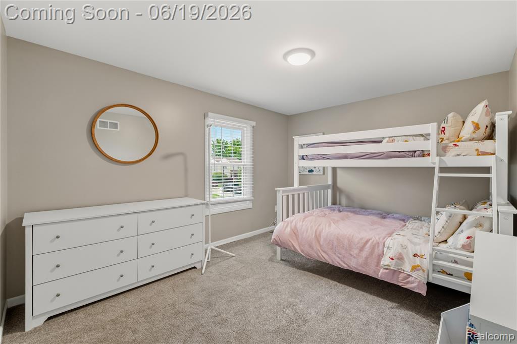 45209 Saltz Road, Canton, MI 48187 — Photo 28