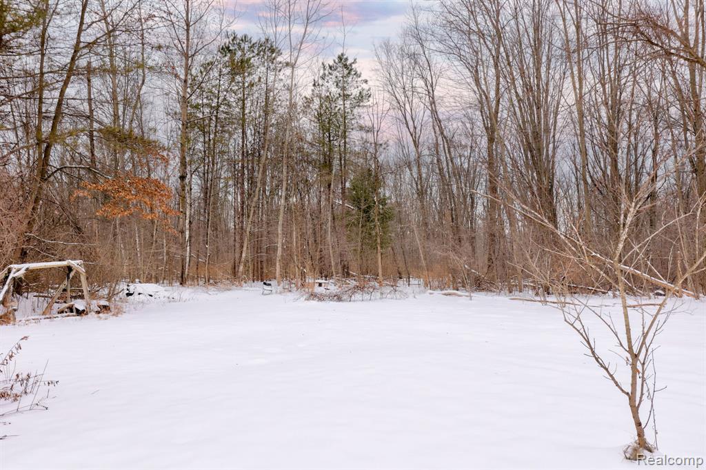 3937 Curtis Road, Birch Run, MI 48415 — Photo 32