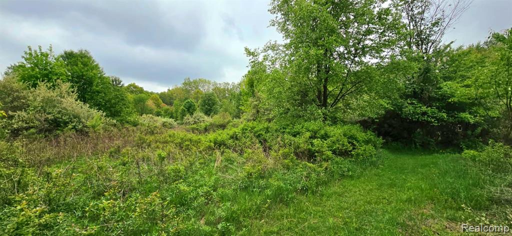 16744 Arnold Road, Gregory, MI 48137 — Photo 64