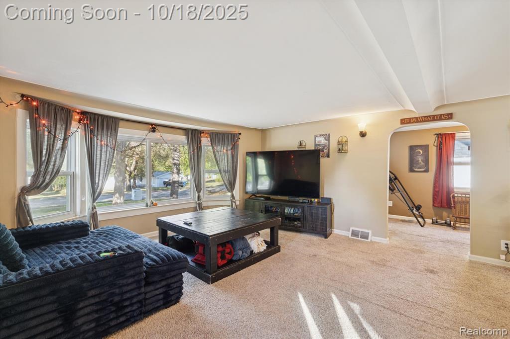 802 Tickner Street, Linden, MI 48451 — Photo 9