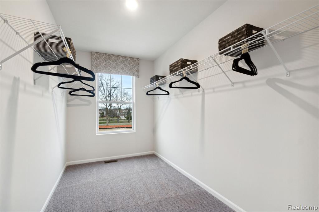 4124 Sedgeview Circle, Howell, MI 48843 — Photo 16