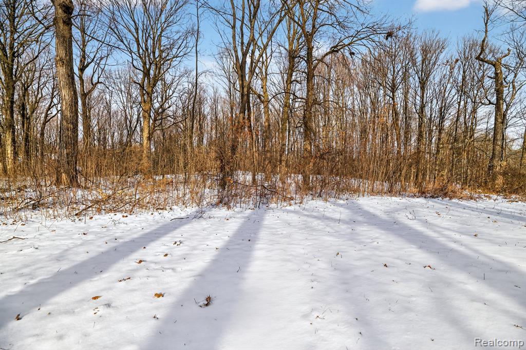 5551 Sugar Bush Lane, Flint, MI 48532 — Photo 46