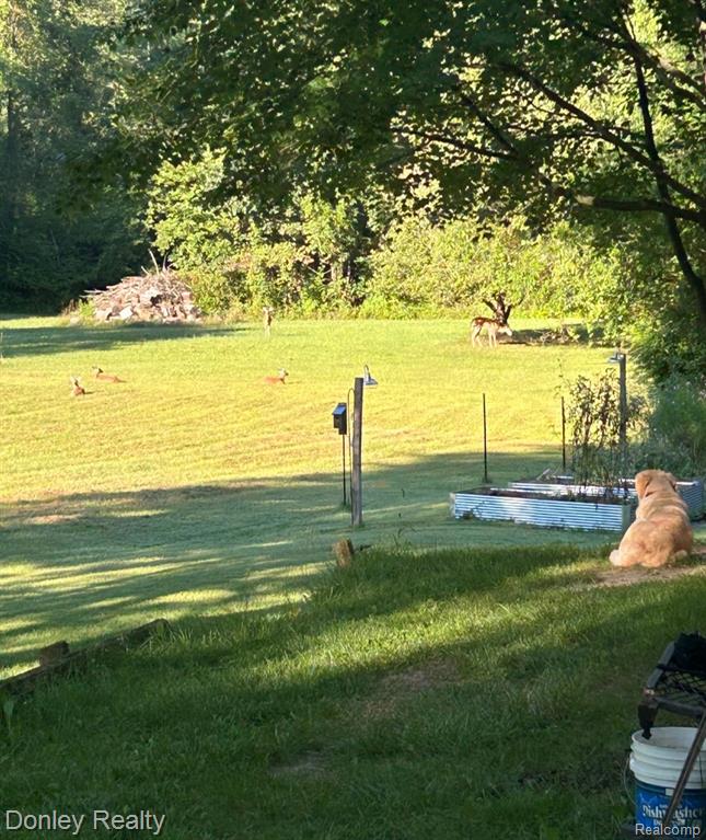 6453 Mack Road, Howell, MI 48855 — Photo 47