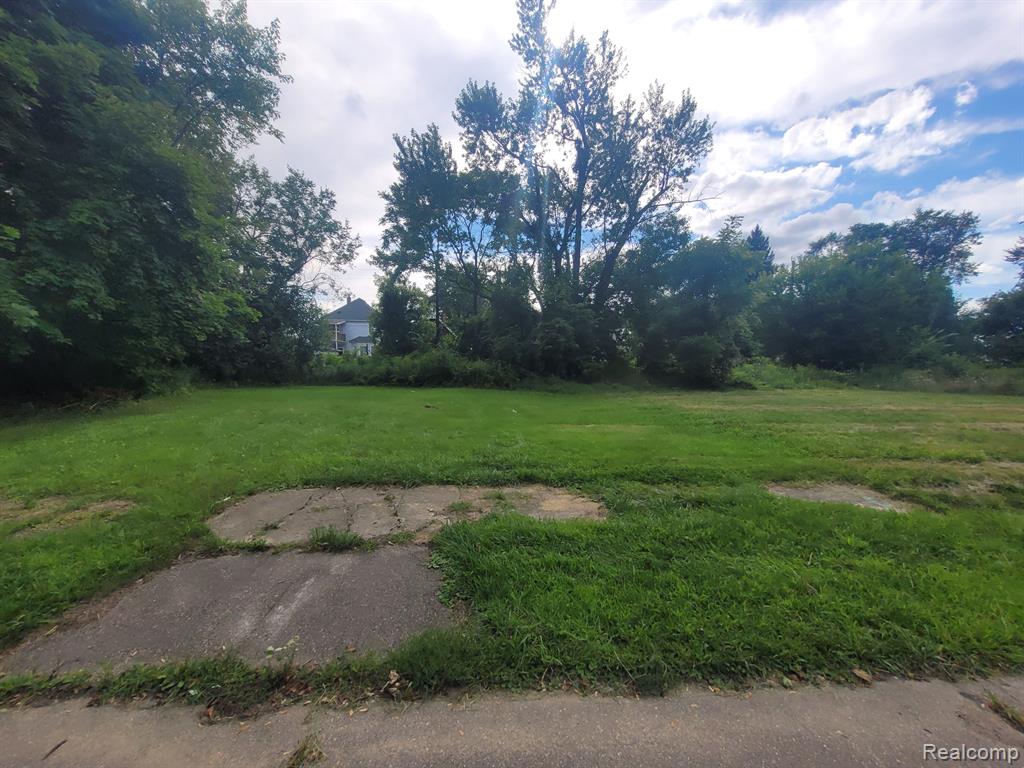 3443 BEALS Street, Detroit, MI 48214 — Photo 7