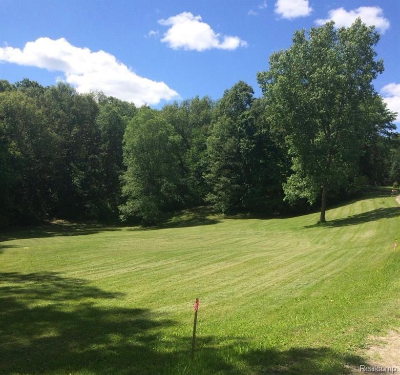 6065 Victoria Drive, Fenton, MI 48430 — Photo 2