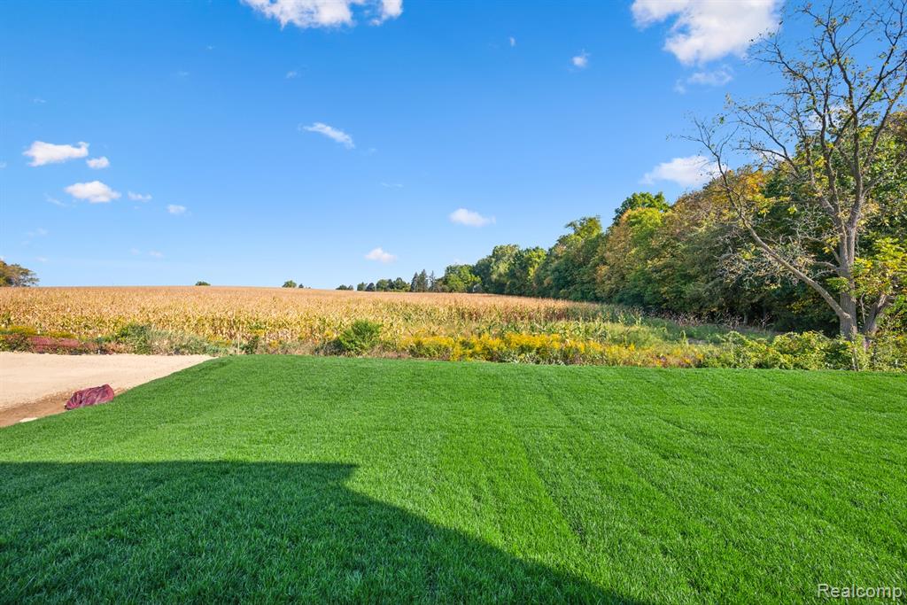 27107 Gallop Way, Saline, MI 48176 — Photo 28