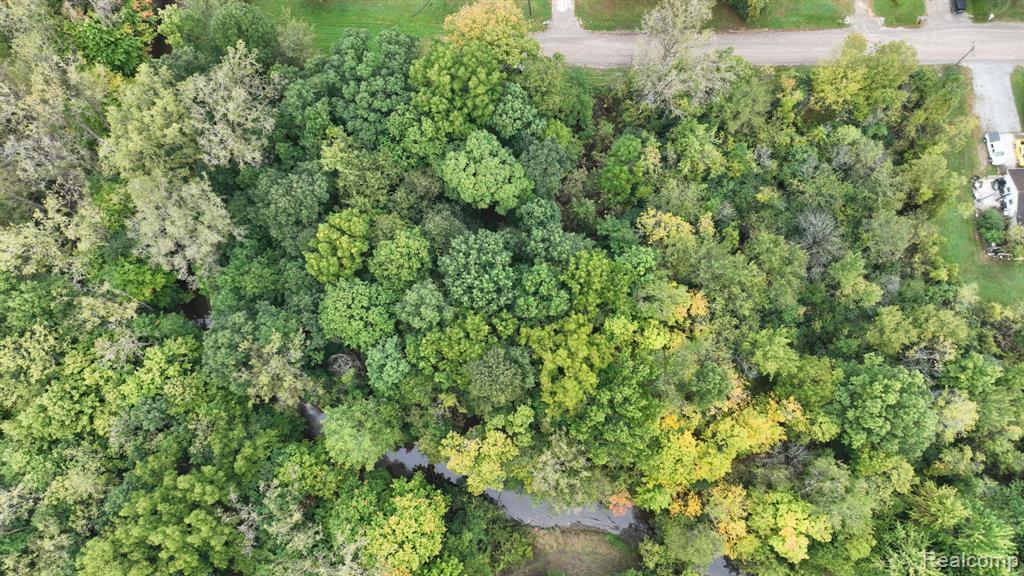 3 Esson Drive, Grand Blanc, MI 48439 — Photo 14