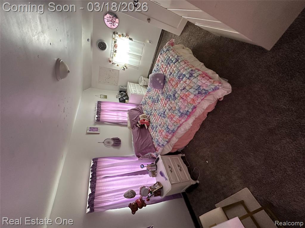 200 S Hayes Street, Farwell, MI 48622 — Photo 24
