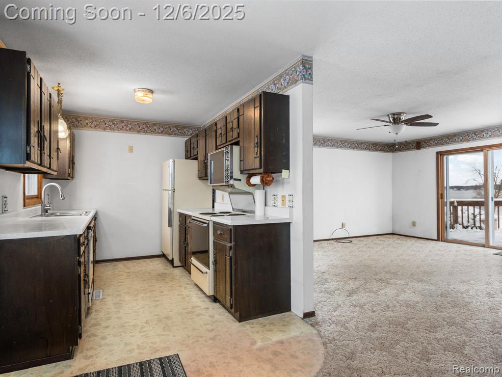 5886 S Green Avenue, Fremont, MI 49412 — Photo 13