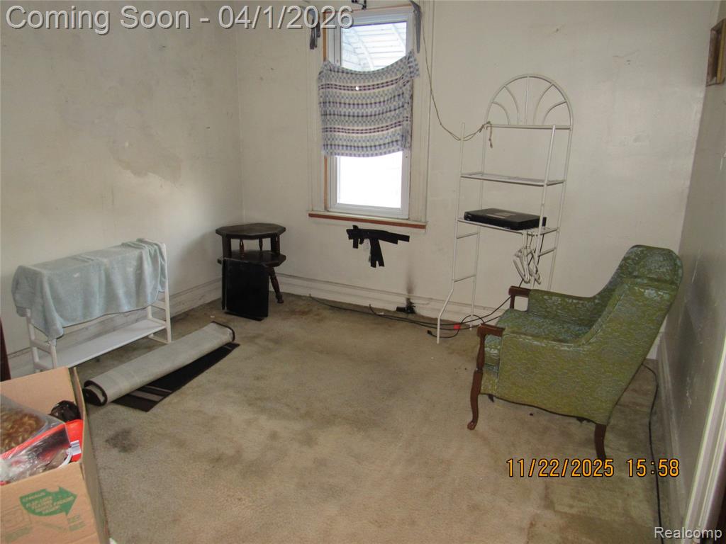 4803 McClellan Street, Detroit, MI 48214 — Photo 8