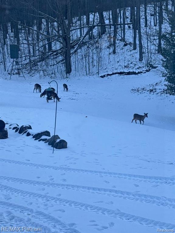 4125 Hubbard Lake Trail, Hubbard Lake, MI 49747 — Photo 20