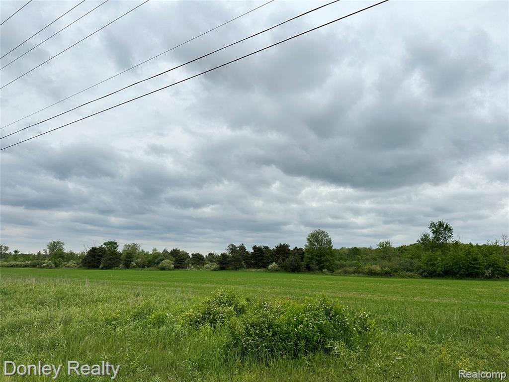 V/L Warner Road, MI 48729 — Photo 6