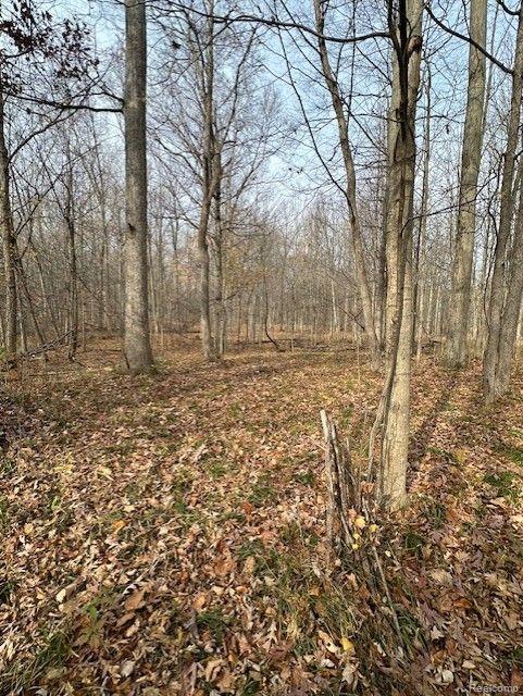 8438 JORDAN Road, Grand Blanc, MI 48439 — Photo 17
