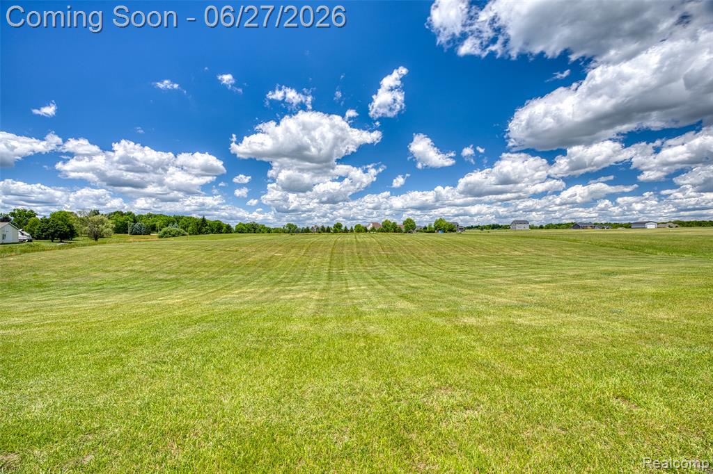 17204 Country Lane, Manchester, MI 48158 — Photo 47