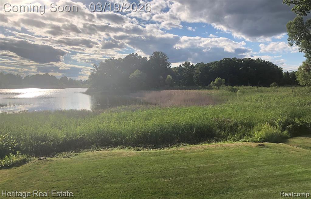 850 Glenmoor Drive, Oxford, MI 48371 — Photo 5