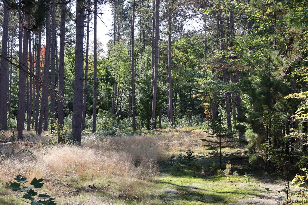 Lot D W Pendills Lake Road, Brimley, MI 49715 — Photo 43