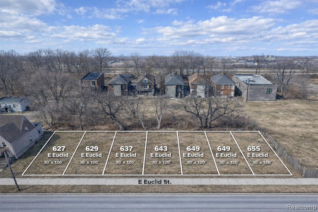 637 E Euclid Street, Detroit, MI 48202 — front exterior