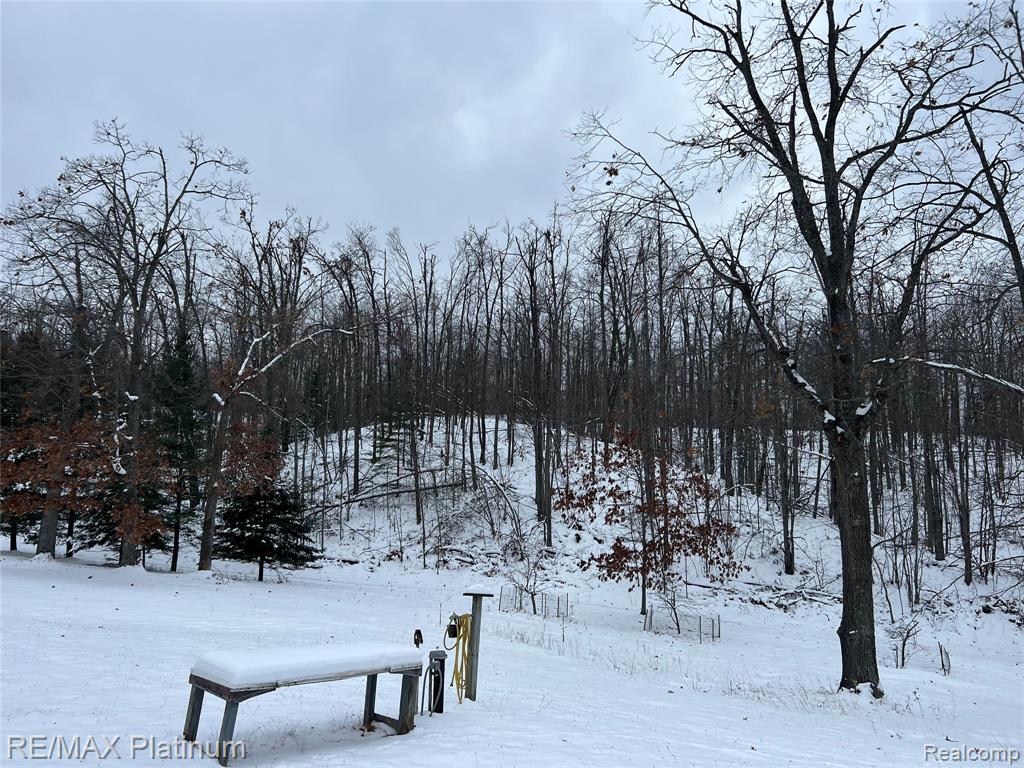 4125 Hubbard Lake Trail, Hubbard Lake, MI 49747 — Photo 12