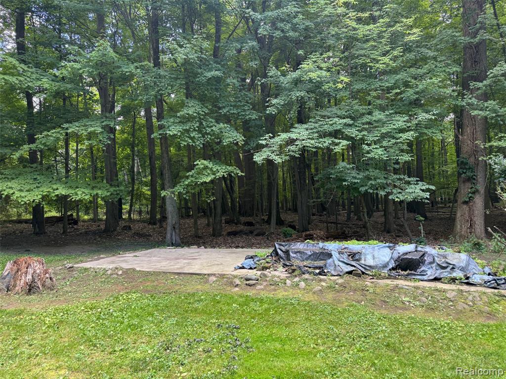 3711 Baldwin Road, Metamora, MI 48455 — Photo 77