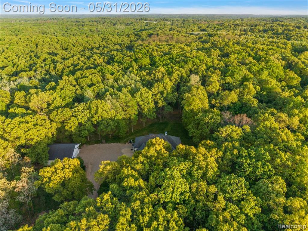 500 Hawk High Hill Road, Metamora, MI 48455 — Photo 24