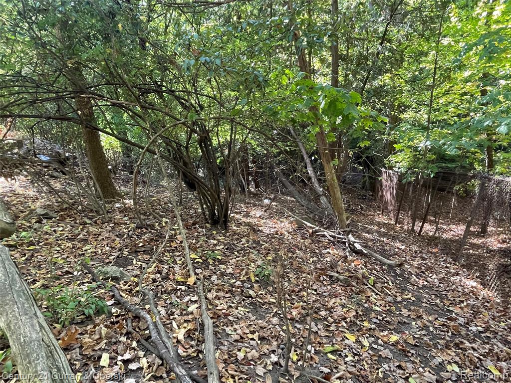 22321 Margareta Street, Detroit, MI 48219 — Photo 4