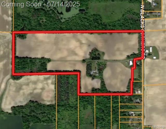 873 N Blacks Corners Road, Imlay City, MI 48444 — Photo 3