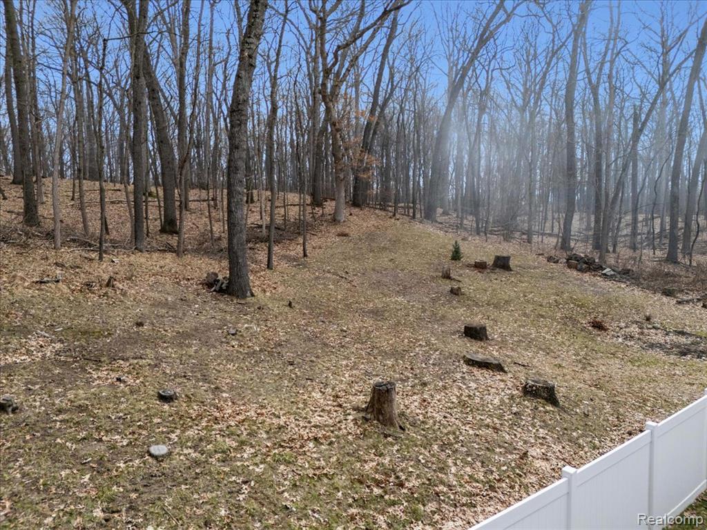 2477 Spruce Ridge, Howell, MI 48855 — Photo 8