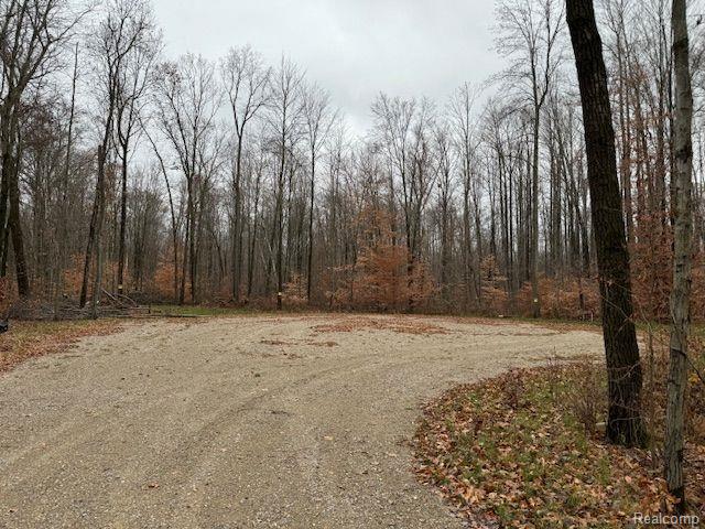 Parcel 2 MCCLEMENTS Road, Brighton, MI 48114 — Photo 5