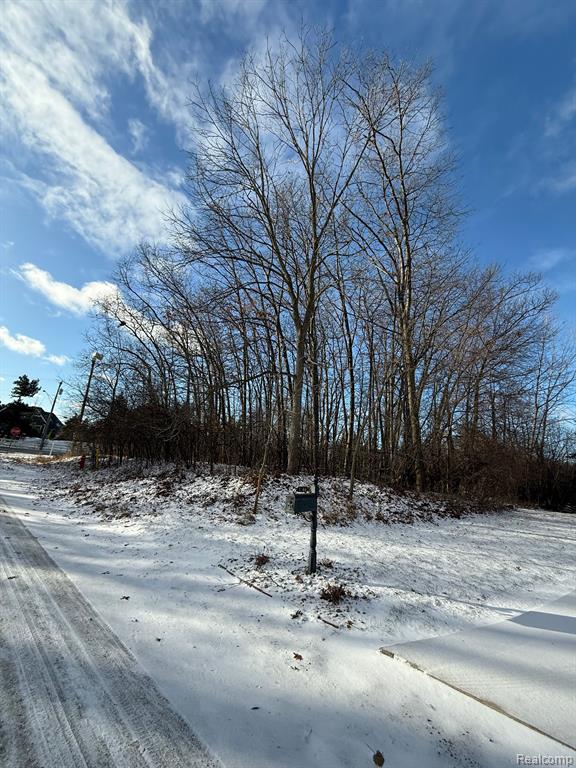 2390 KLINGENSMITH Road, Bloomfield Hills, MI 48302 — Photo 2