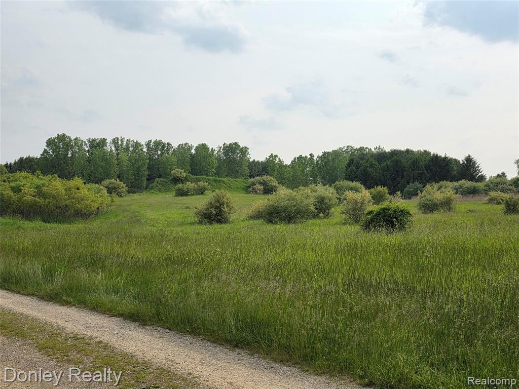 5900 Frenchline Road, Marlette, MI 48453 — Photo 13