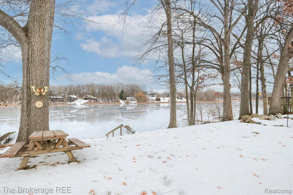 11 Crane Lake Drive, Linden, MI 48451 — Photo 13
