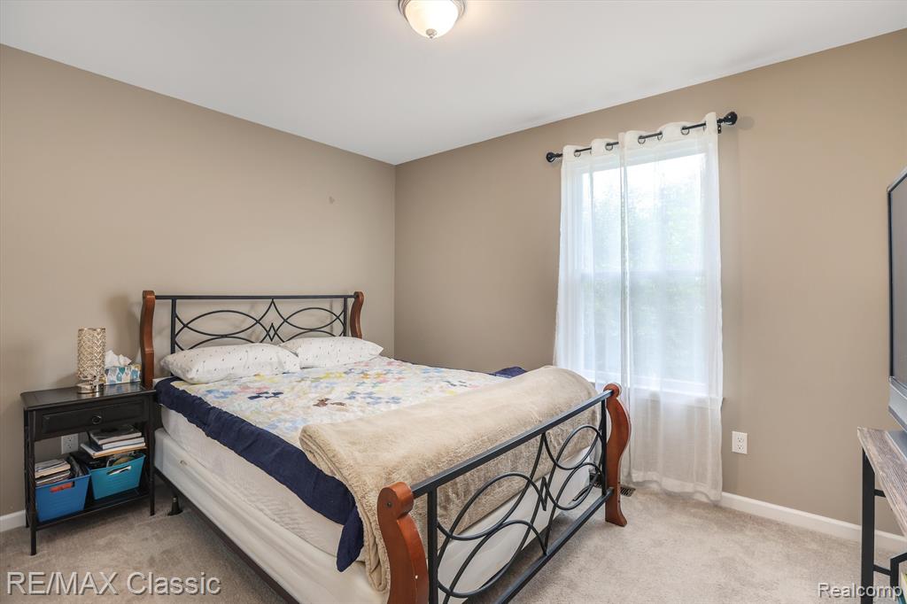 9109 WHITE TAIL, Ypsilanti, MI 48197 — Photo 21