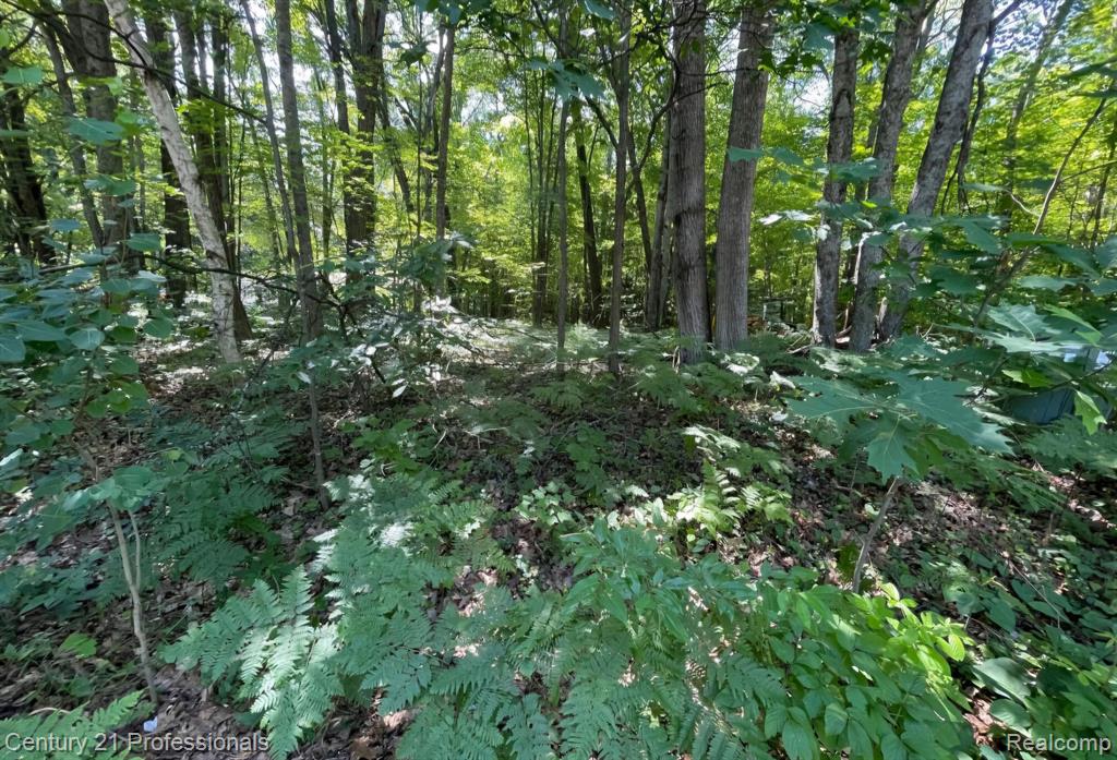 Lot 789 Redwine Drive, Houghton Lake, MI 48653 — Photo 7