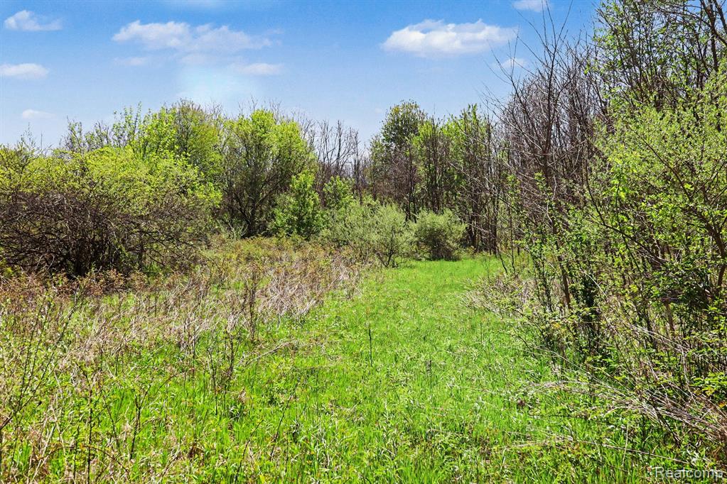 Parcel #3 Milford Rd, Holly, MI 48442 — Photo 11