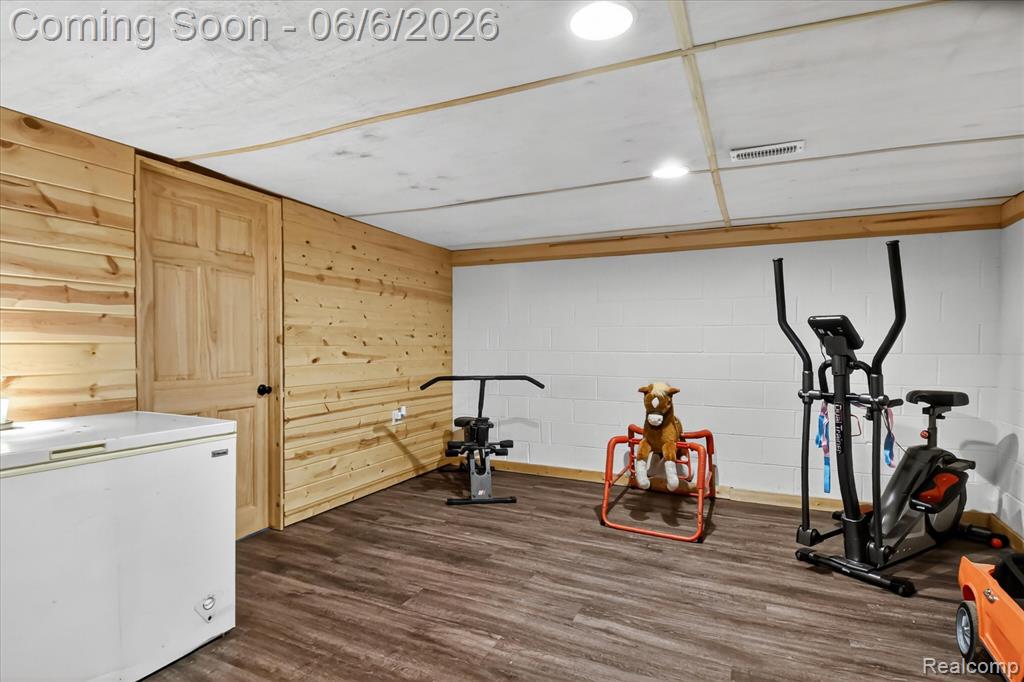 3949 Burnsline Road, Brown, MI 48416 — Photo 50