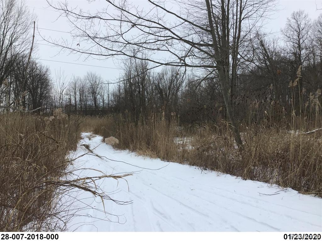 V/L HOPPS Road, Port Huron, MI 48060 — Photo 3