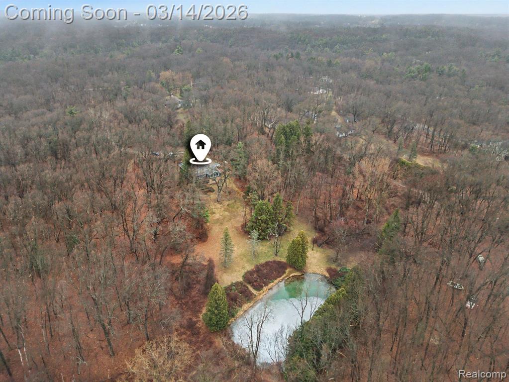 1380 Kent Road, Ortonville, MI 48462 — Photo 49