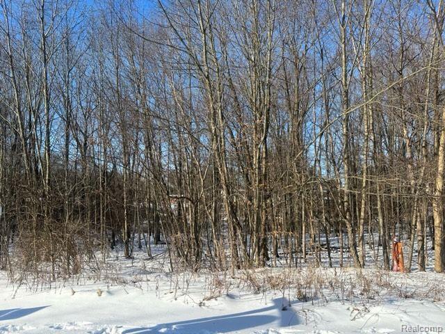 Lot 21 Forest Gate, Grand Blanc, MI 48439 — Photo 2