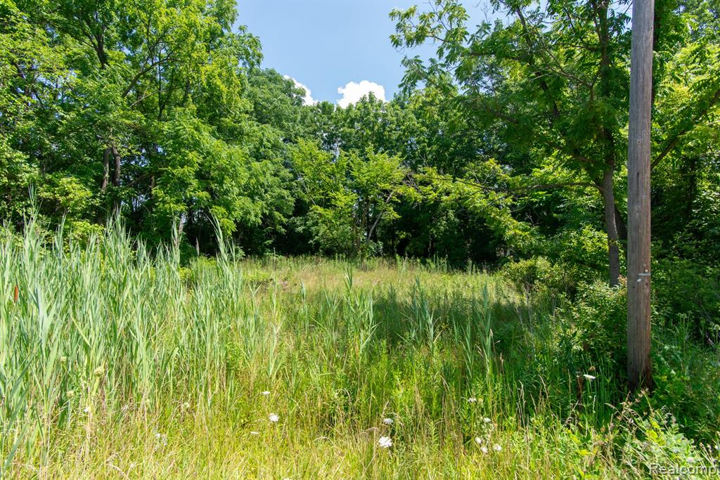 Lot 105 Hollywood, Romulus, MI 48174 — front exterior