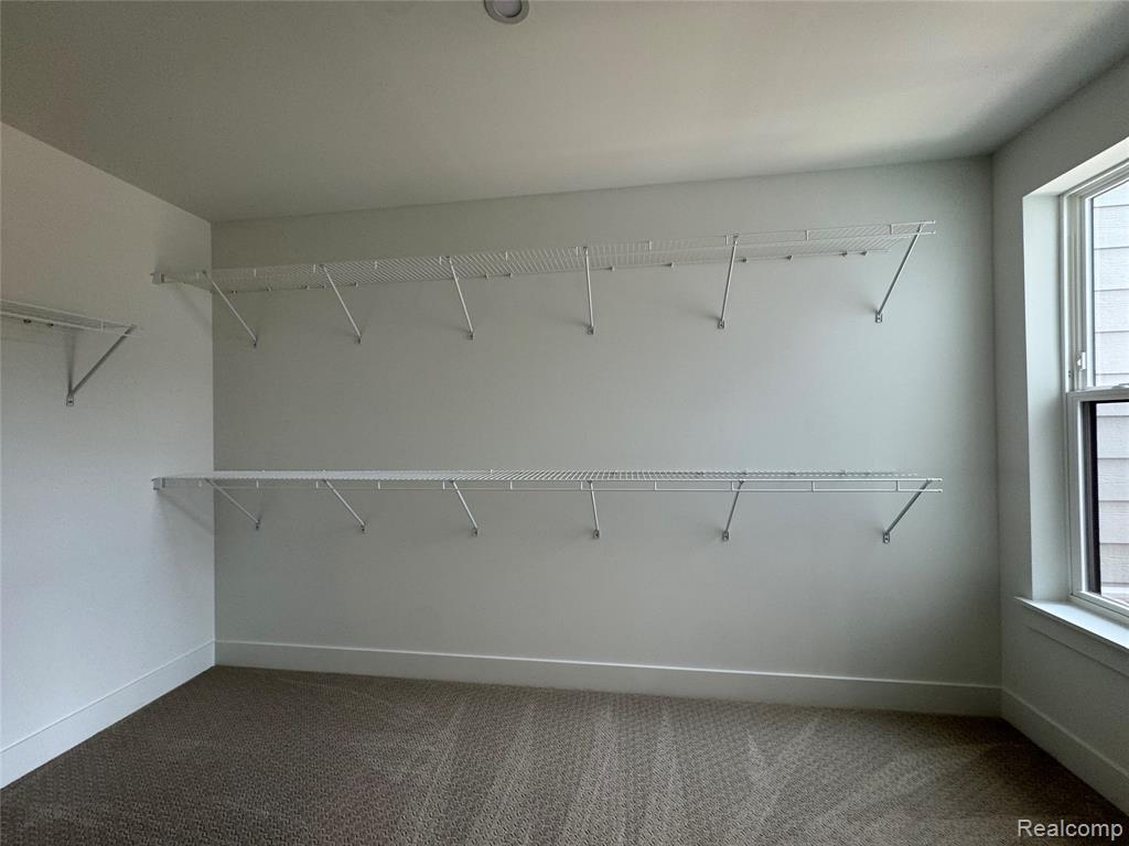 49482 Coldwater Ridge Drive, Northville, MI — Photo 19