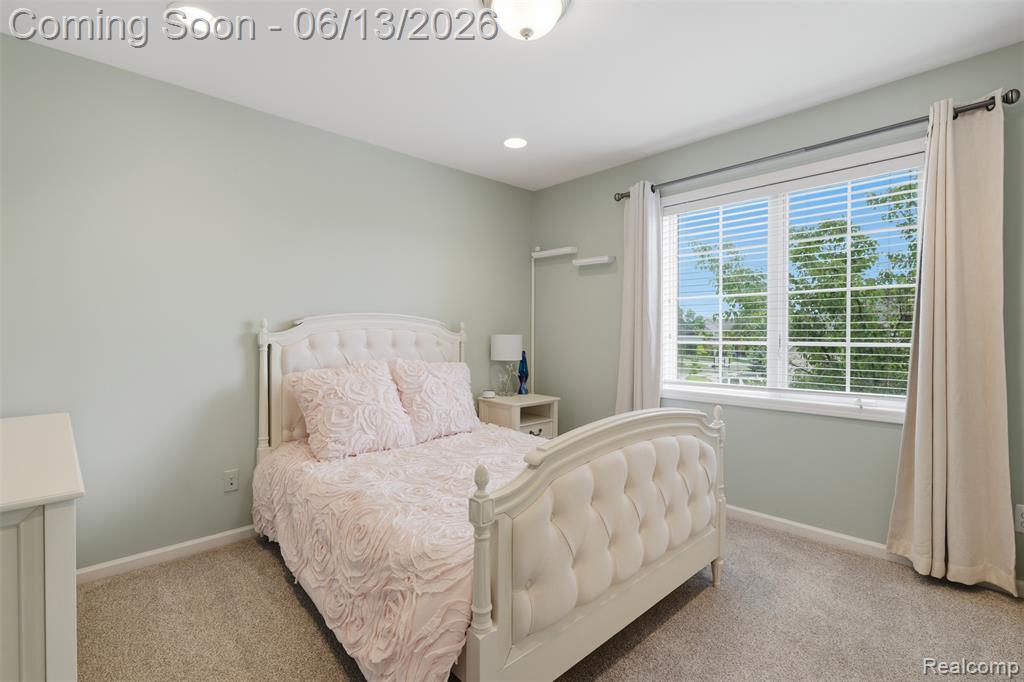 41920 Wolfe Pass, Novi, MI 48377 — Photo 56
