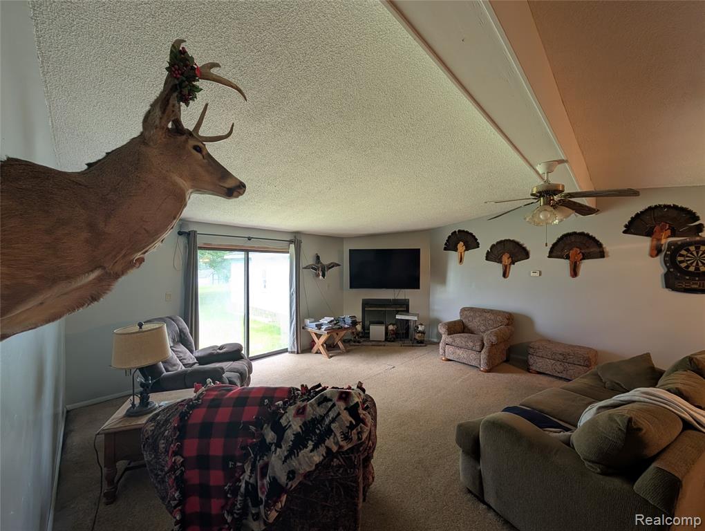 11175 S Morrice Road, Morrice, MI 48857 — Photo 10