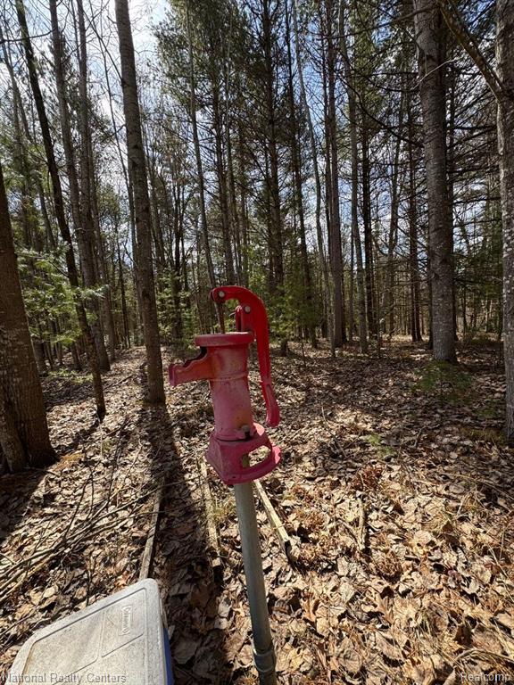 4233 Hardacre Trail, Houghton Lake, MI 48629 — Photo 8