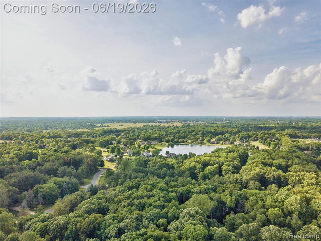 9787 York Woods Drive, Saline, MI 48176 — Photo 34