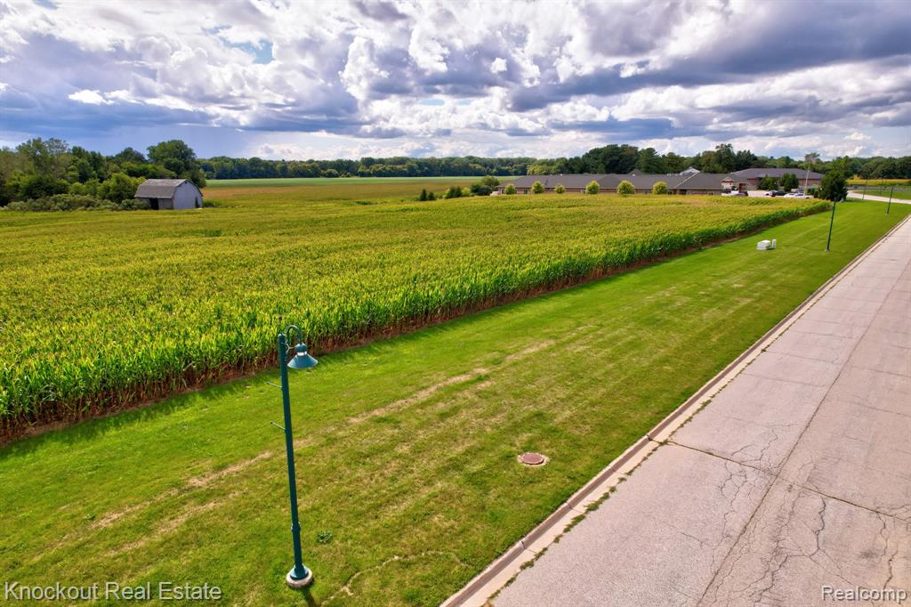 Parcel E W Rolling Hills Drive, Bridgeport, MI 48722 — Photo 9