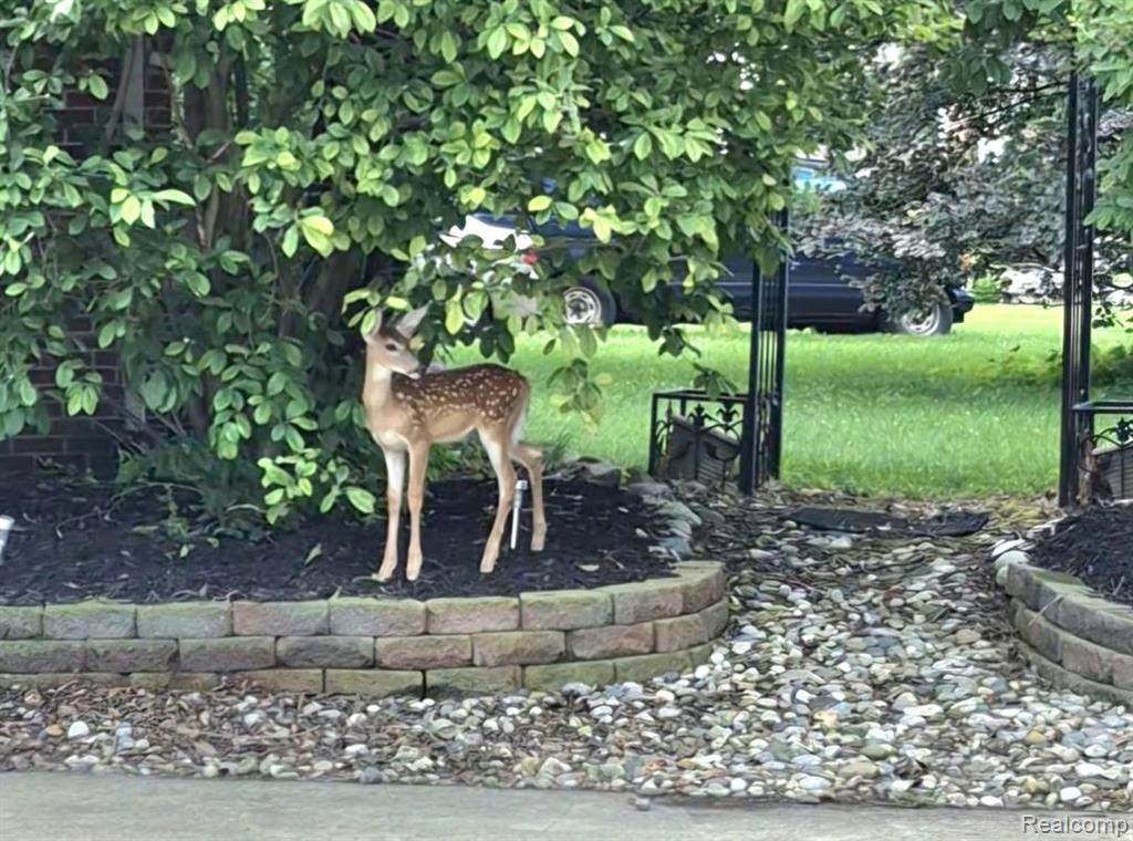 14962 Beatrice Street, Livonia, MI, 48154