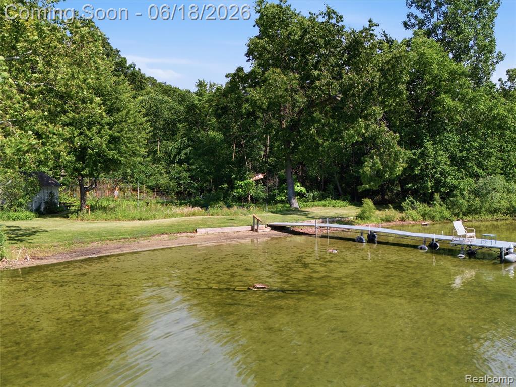 14478 Bouchner Drive, Linden, MI 48451 — Photo 52