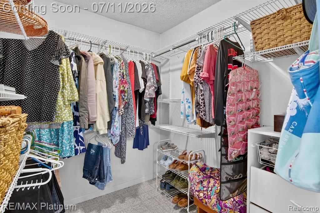 13365 N Territorial Road, Gregory, MI 48137 — Photo 30